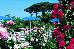 Thumbnail 22