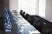 Thumbnail 25