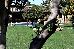 Thumbnail 27