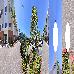 Thumbnail 12