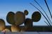 Thumbnail 22