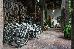 Thumbnail 37
