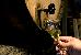 Thumbnail 20