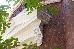Thumbnail 32