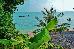 Thumbnail 22