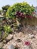 Thumbnail 98