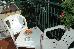 Thumbnail 24