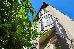 Thumbnail 15