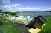 Thumbnail 23