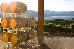 Thumbnail 196