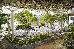 Thumbnail 205