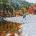 Thumbnail 90