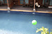 Thumbnail 52