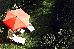 Thumbnail 49