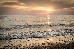 Thumbnail 95