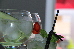 Thumbnail 58