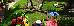 Thumbnail 37
