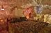 Thumbnail 24