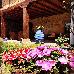 Thumbnail 23