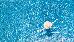 Thumbnail 67