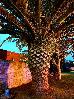 Thumbnail 40