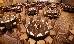 Thumbnail 36