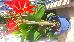 Thumbnail 26