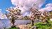 Thumbnail 36
