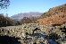 Thumbnail 95