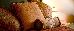 Thumbnail 23