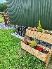 Thumbnail 23