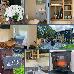 Thumbnail 61