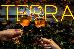 Thumbnail 83