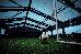 Thumbnail 29