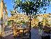 Alia Luxury Suites, ,
