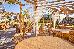 Alia Luxury Suites, ,