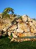 Alia Luxury Suites, ,