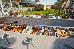 Alia Luxury Suites, ,
