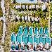 Alia Luxury Suites, ,