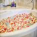 Alia Luxury Suites, ,