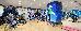Thumbnail 87