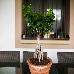 Thumbnail 55