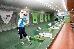 Thumbnail 16