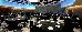 Thumbnail 183
