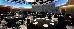 Thumbnail 225