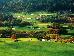 Thumbnail 56