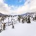 Thumbnail 18