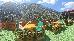 Thumbnail 93