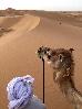 Thumbnail 78