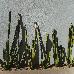 Thumbnail 258